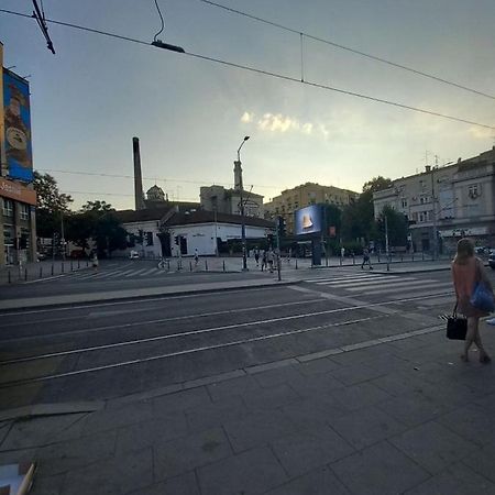 Skardarlija Pijaca Studio Lägenhet Belgrad Exteriör bild
