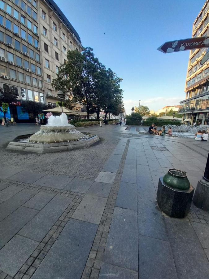 Skardarlija Pijaca Studio Lägenhet Belgrad Exteriör bild
